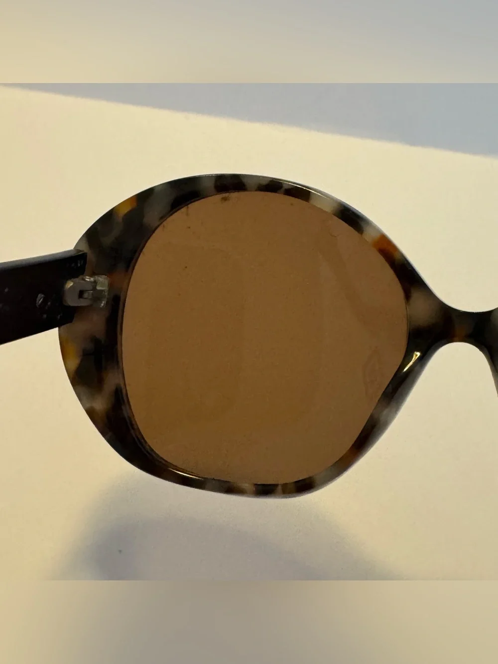 WONDERLAND gray brown